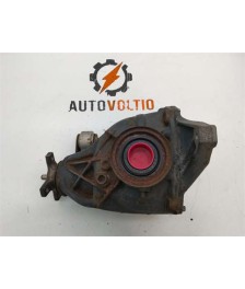 Grupo Diferencial Trasero