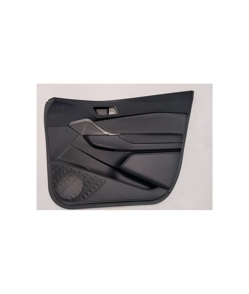 Moldura Puerta Delantera Derecha