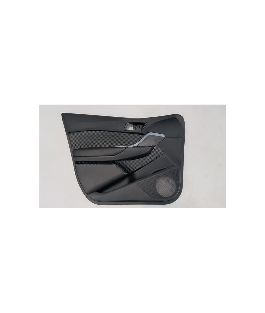 Moldura Puerta Delantera Izquierda