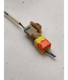 Cinturon Seguridad Trasero Derecho