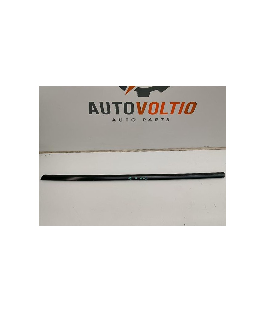 Moldura Puerta Delantera Izquierda
