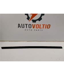 Moldura Puerta Delantera Izquierda