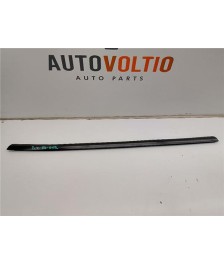 Moldura Puerta Trasera Derecha