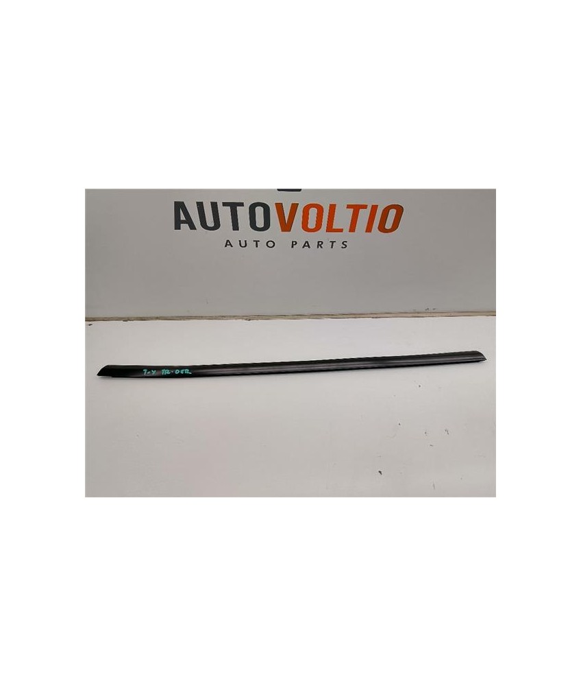 Moldura Puerta Trasera Derecha