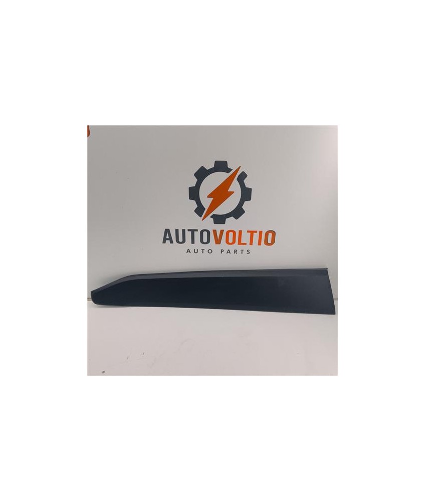 Moldura Puerta Delantera Izquierda