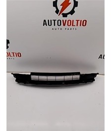 Rejilla Paragolpes Delantero