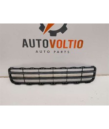 Rejilla Paragolpes Delantero