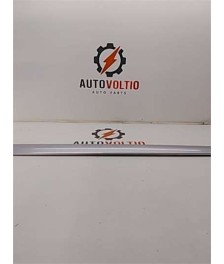 Moldura Puerta Delantera Izquierda