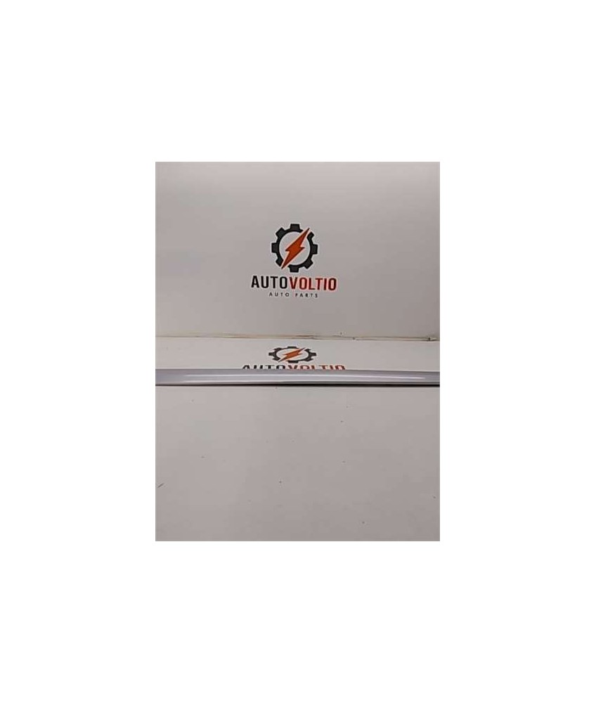 Moldura Puerta Delantera Izquierda