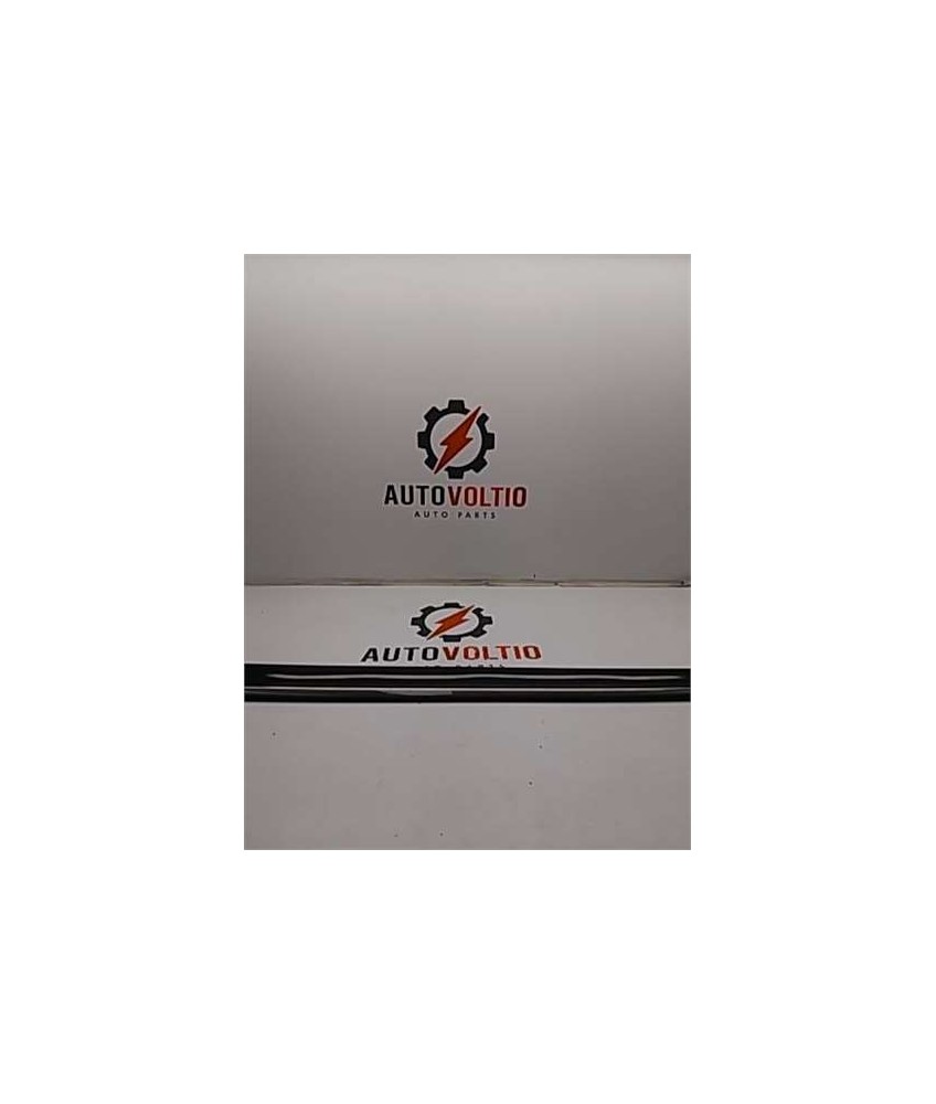 Moldura Puerta Delantera Izquierda