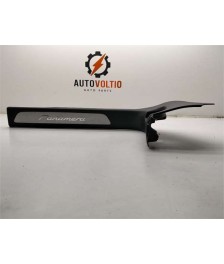 Moldura Puerta Delantera Derecha
