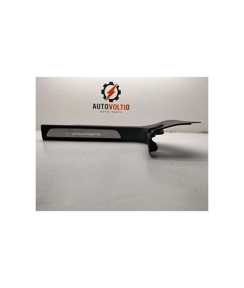 Moldura Puerta Delantera Derecha