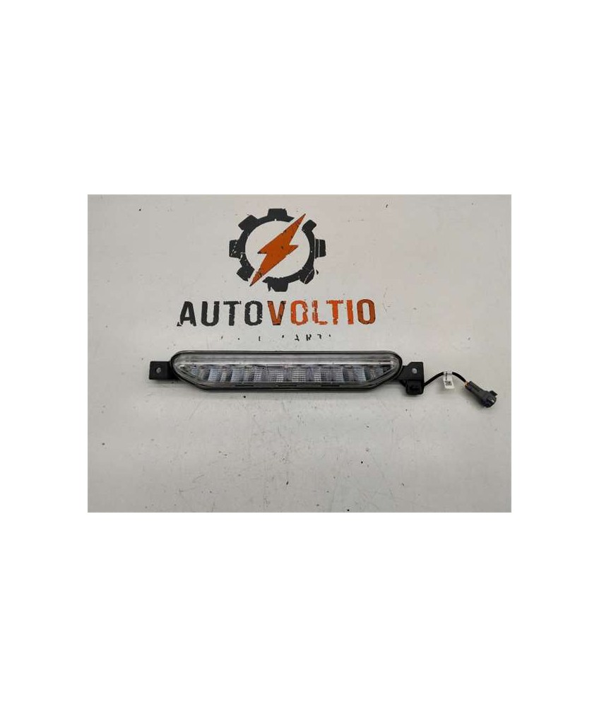 Piloto Antiniebla Trasero Derecho