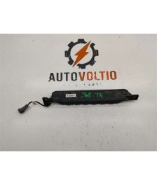 Piloto Antiniebla Trasero Derecho