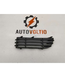 Rejilla Paragolpes Delantero