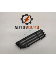 Rejilla Paragolpes Delantero