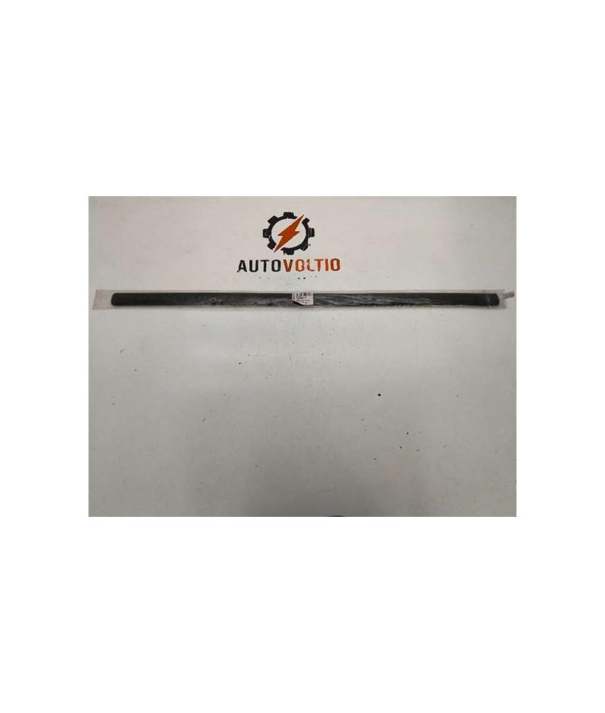 Moldura Puerta Delantera Derecha