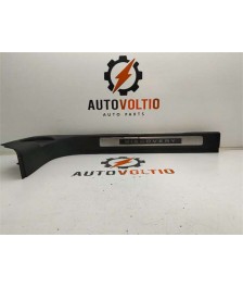 Moldura Puerta Delantera Izquierda