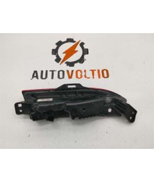 Piloto Antiniebla Trasero Derecho