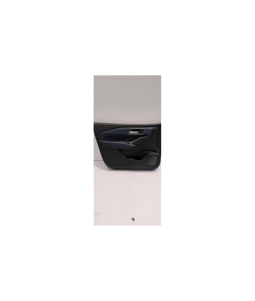 Panel Exterior Puerta Delantera Izquierda