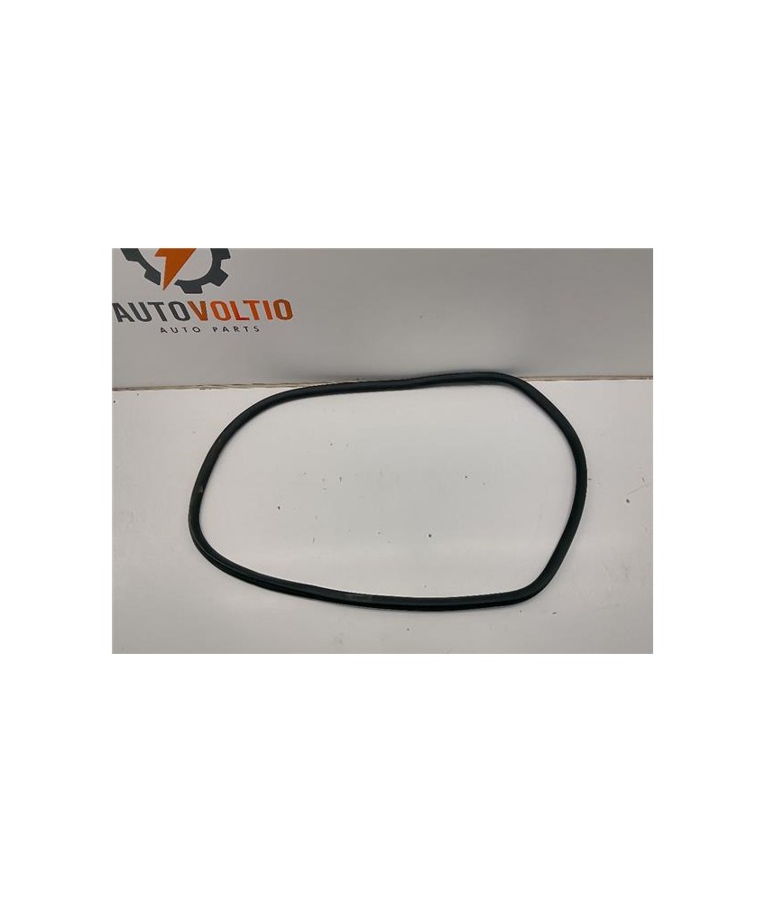 Goma Contorno Puerta Trasera Derecha