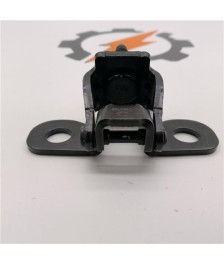 Bisagra Derecha Porton Trasero