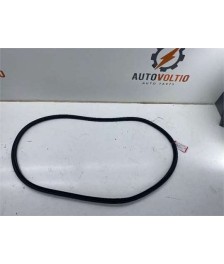 Goma Contorno Porton Trasero