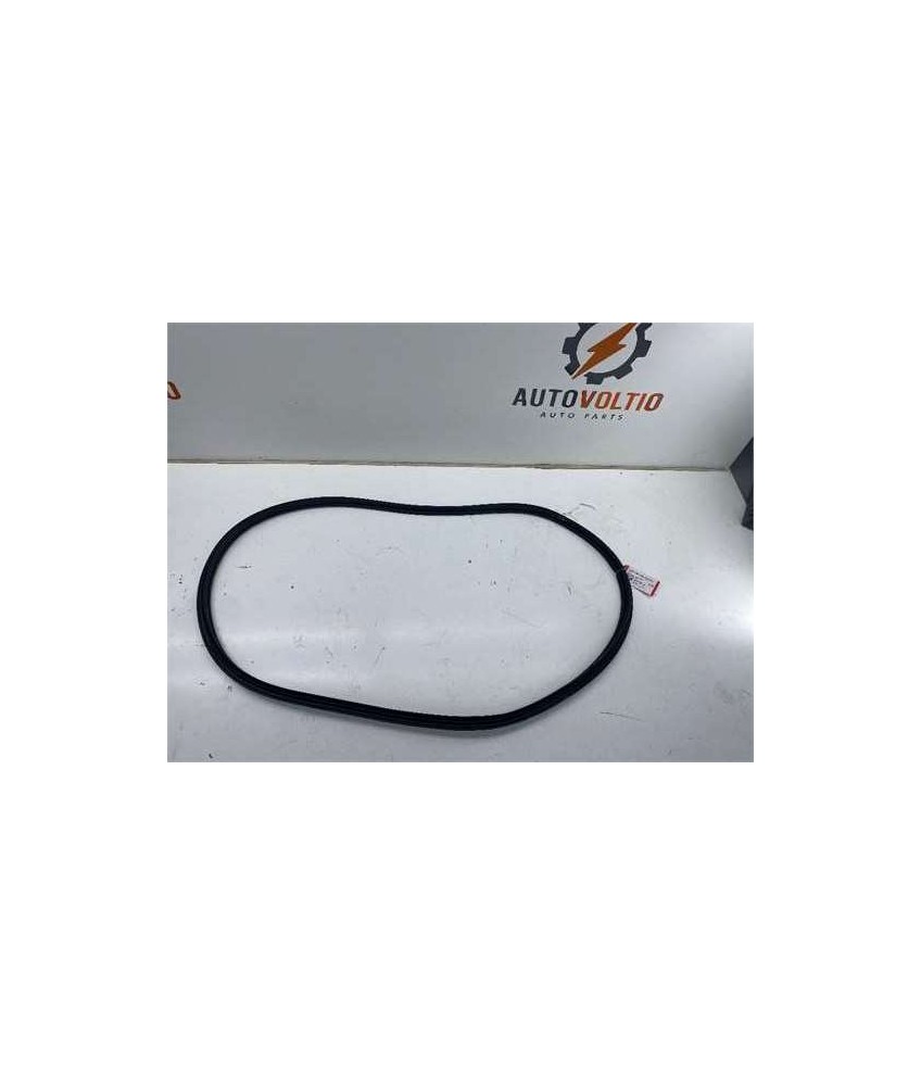 Goma Contorno Porton Trasero