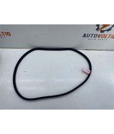 Goma Contorno Puerta Trasera Izquierda