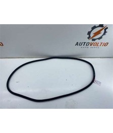 Goma Contorno Puerta Trasera Derecha