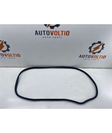Goma Contorno Puerta Trasera Derecha
