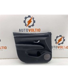 Guarnecido Puerta Delantera Izquierda