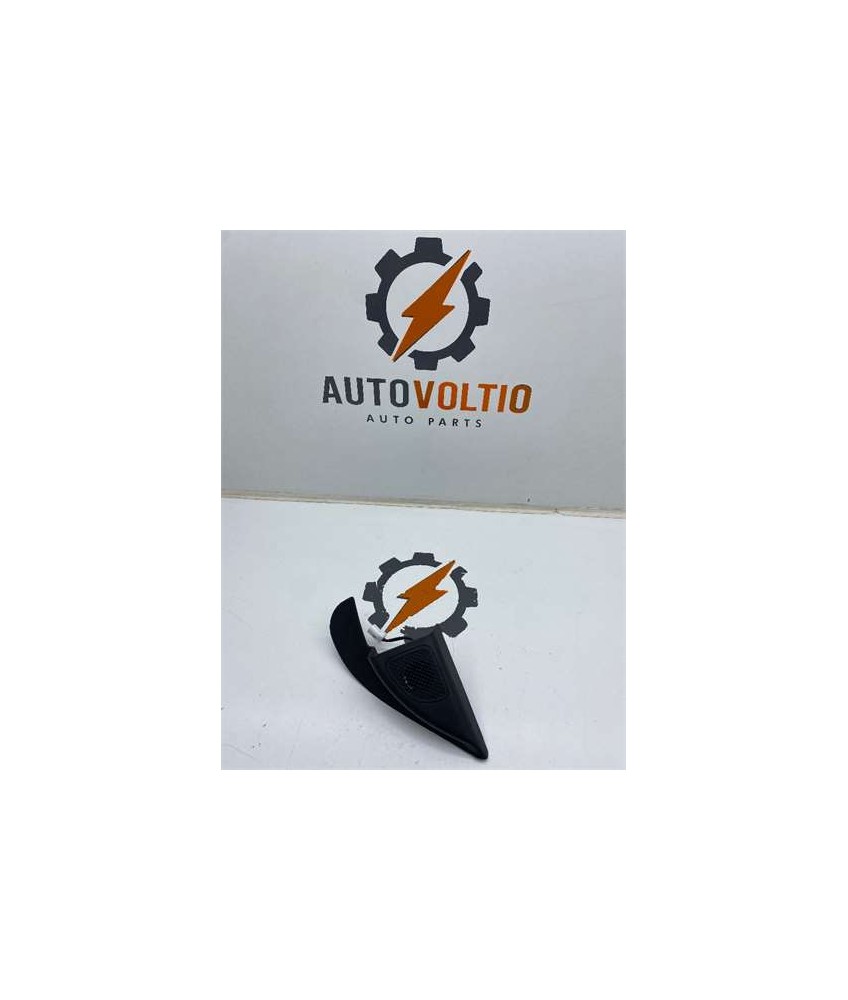 Altavoz Puerta Delantera Izquierda