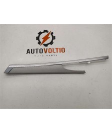 Guarnecido Puerta Trasera Derecha
