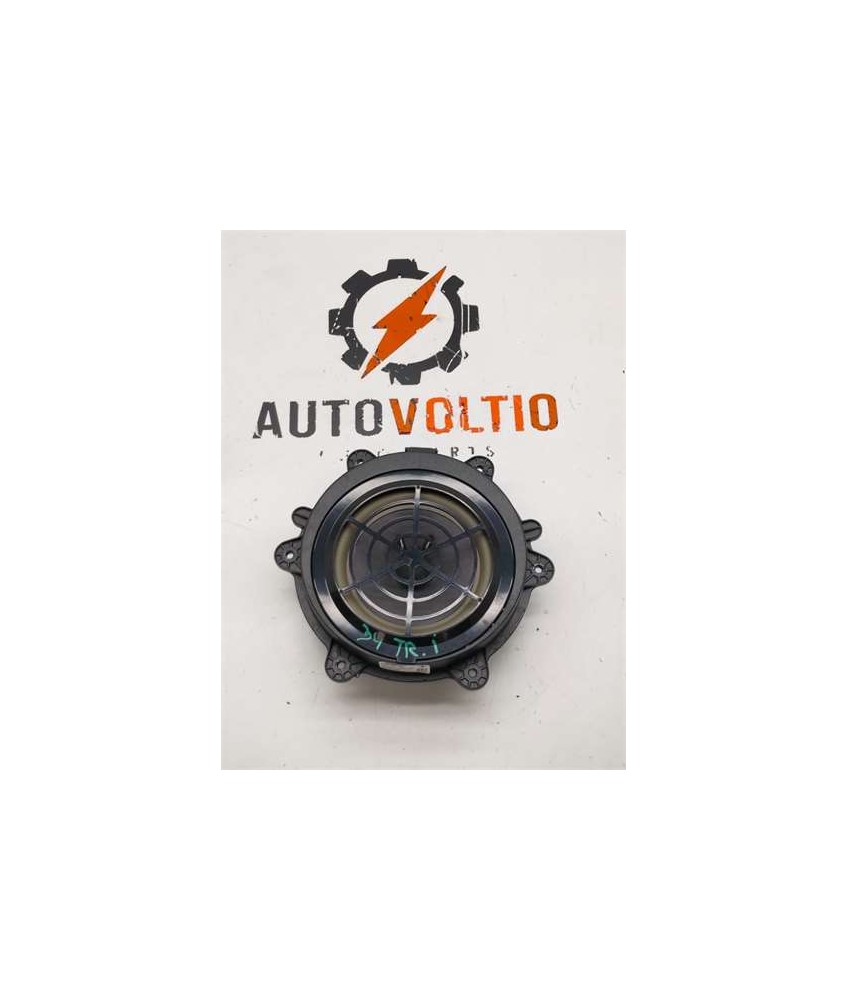 Altavoz Puerta Trasera Izquierda