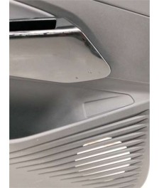 Guarnecido Puerta Delantera Izquierda
