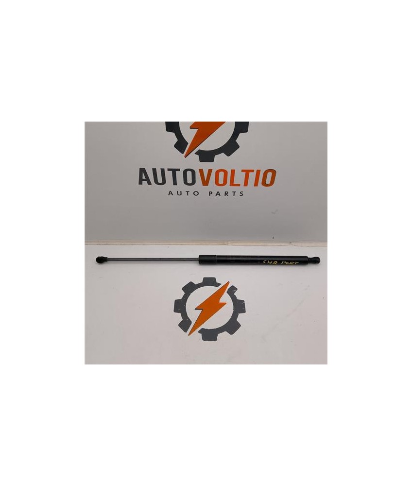 Amortiguador Porton Trasero Izquierdo