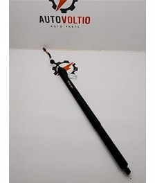 Amortiguador Porton Trasero Derecho