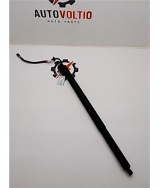 Amortiguador Porton Trasero Izquierdo