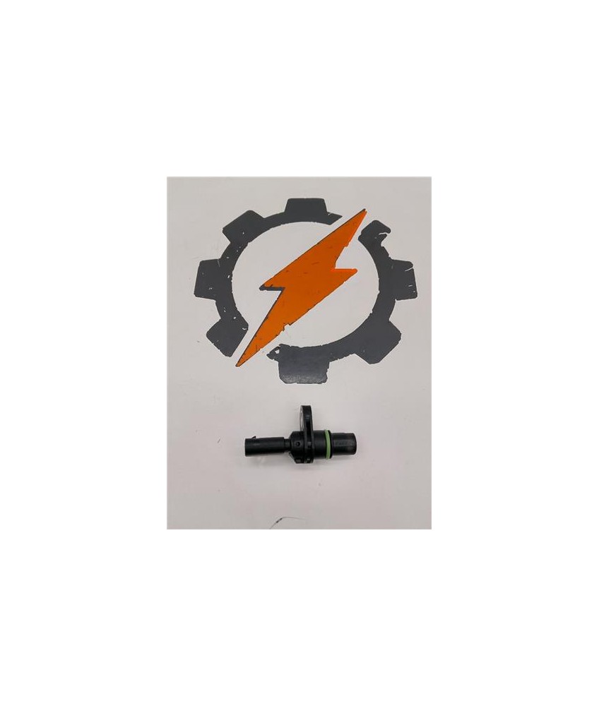 Sensor Posicion Arbol Levas Escape