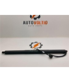 Amortiguador Porton Trasero Izquierdo