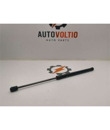 Amortiguador Porton Trasero Izquierdo