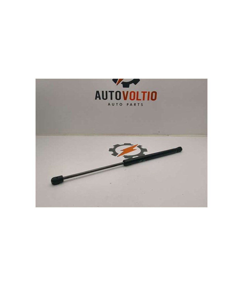 Amortiguador Porton Trasero Izquierdo
