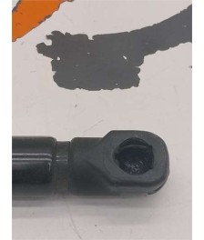 Amortiguador Porton Trasero Derecho
