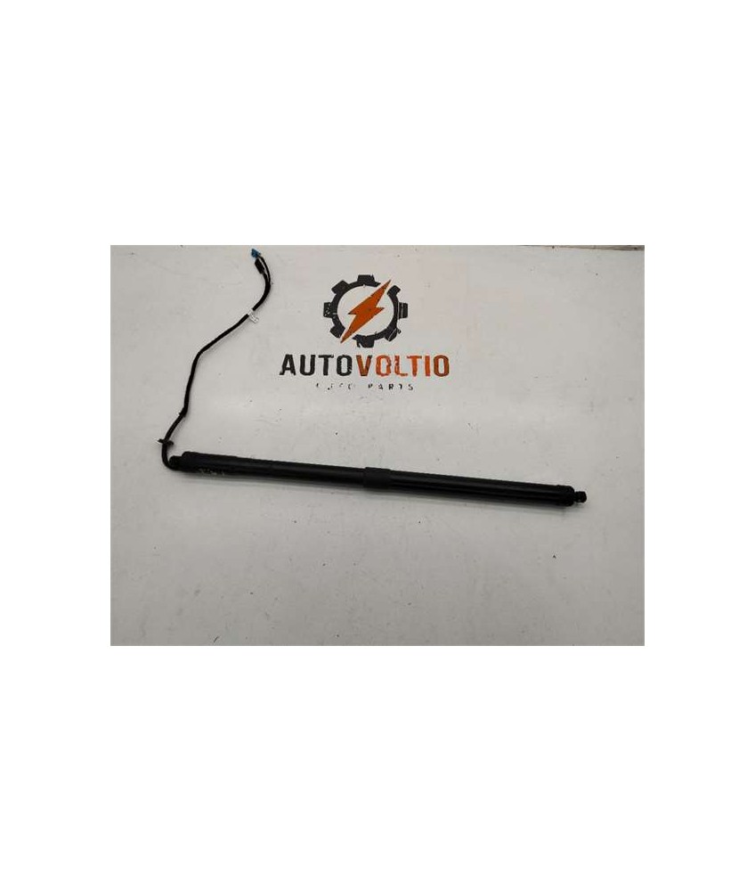 Amortiguador Porton Trasero Izquierdo