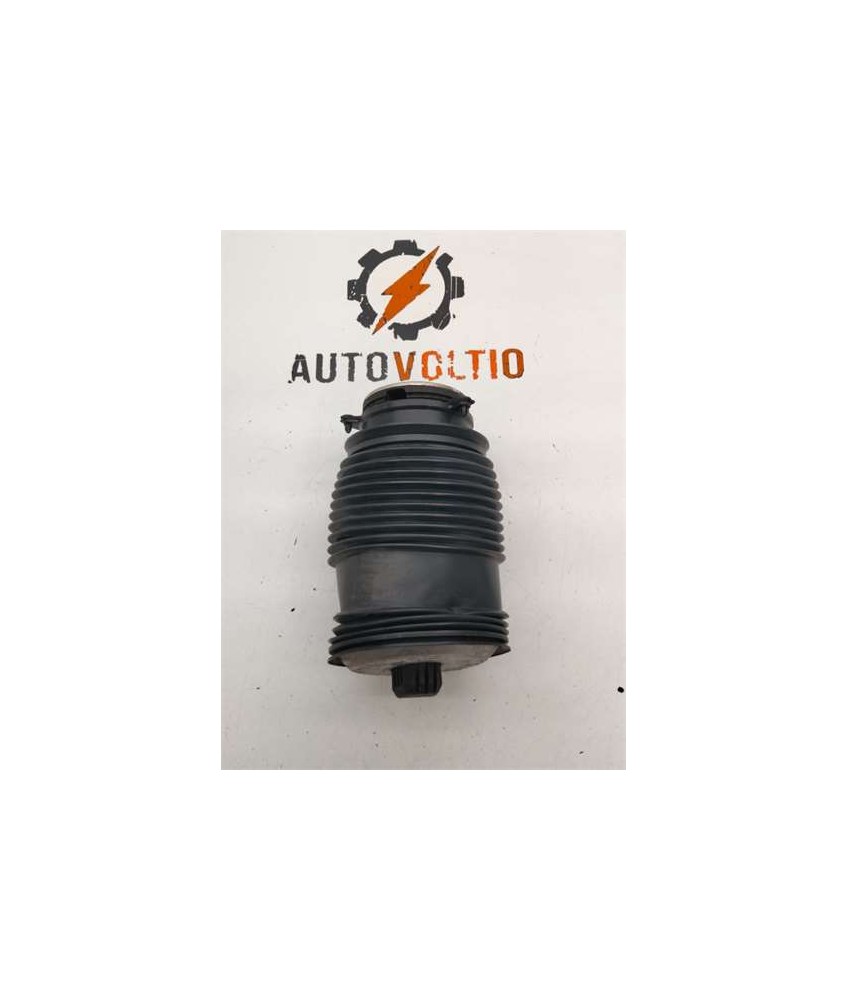 Fuelle Izquierdo Suspension Trasera