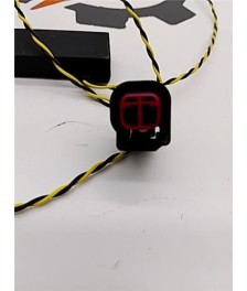Modulo Electronico