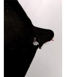 Pase Rueda Trasera Derecha