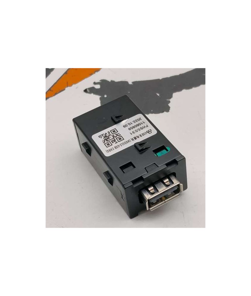 Modulo Electronico