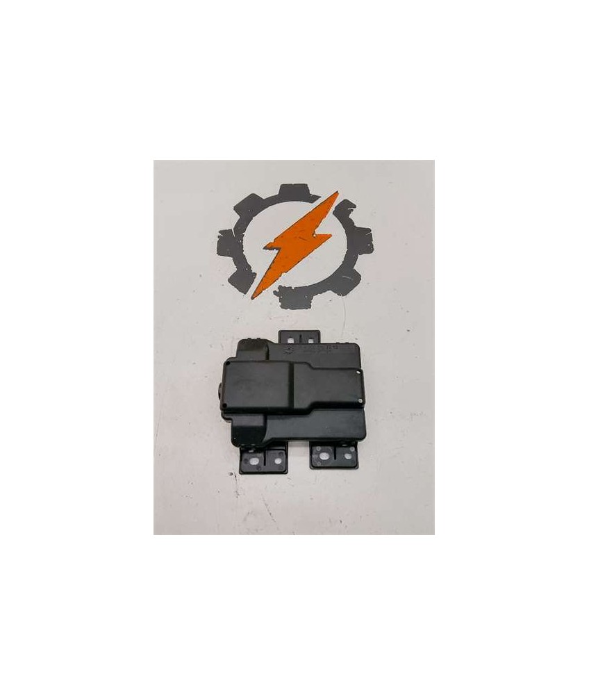 Modulo Electronico